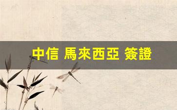 中信 馬來西亞 簽證(中信銀行馬來西亞幣換人民幣)